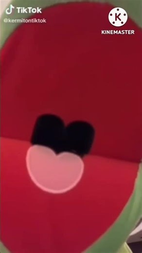 Kermit Screaming In 22 Seconds Straight NOOOOO! 😱