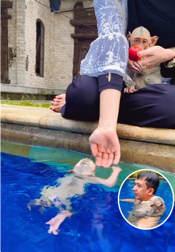 Discover Adorable Aquatic Wildlife Adventures