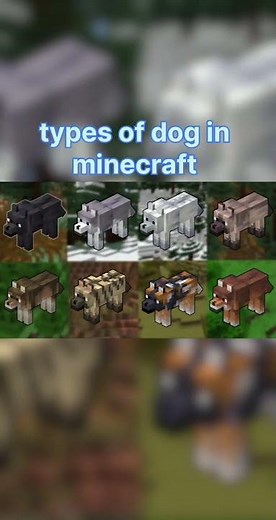 types of dog in Minecraft#minecraft