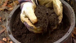 Tip and Trick: Using Compost - Gardening Australia