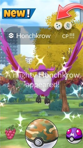 Finally I Got✨️Shiny Mighty Honchkrow in Pokemon GO