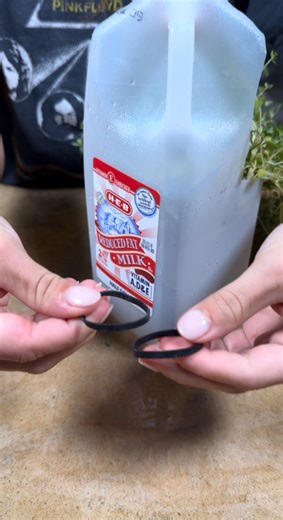 Repurposed milk jugs | Cooking and Crafting with V