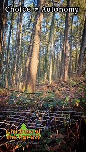 There's lots more to unpick here. Is autonomy just to do with the range of choices available? How do we best scaffold choices into autonomy whilst also considering decision fatigue and a low arousal approach? This video is just the first bit of a conversation and exploration that I want to keep having! If you're enjoying the ideas I share, comment 'pedagogy' and I will send you the details of an immersive pedagogy week that I'm hoping to run, for leaders, in the summer of 2026. #forestschool #ou