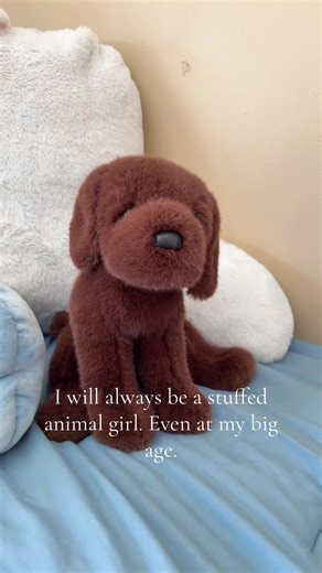 The Comfort of Stuffed Animal Pillows