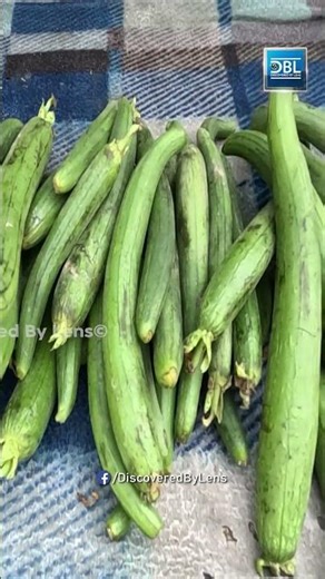 ਪੰਜਾਬ ਵਰਗਾ ਸਵਰਗ ਹੋਰ ਕਿਤੇ ਨਹੀਂ ਲੱਭਣਾ