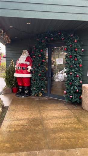 30K views · 194 reactions | Santa has made himself right at home at The Pine Cone Cafe!  Our Christmas entrance is ready to welcome you in for festive feels, giant hot chocolates, and all the sparkle of the seasons!  The countdown has officially begun for our Christmas tree shed opening. Just 16 days to go 拾 | The Pine Cone Cafe | Facebook