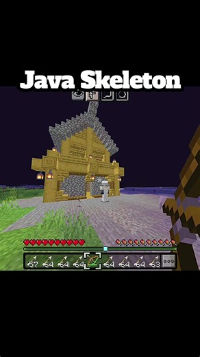 Java VS Bedrock Skeleton #minecraft #viral #short |Black Slasher