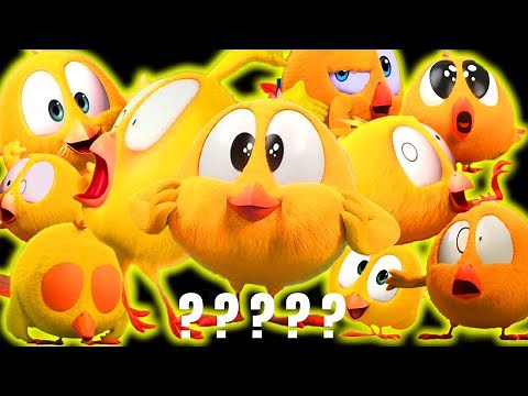 The Greatest Where's Chicky Sound Variations Compilation 40 Minutes | MODIFY EVERYTHING