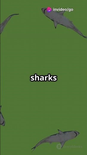 5 Jaw Dropping Facts About Spiny Dogfish Sharks! 🦈🔥#shark #shorts