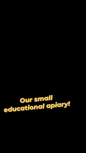 7.7K views · 67 reactions | Bee keeping Training highlights #farming #beekeeping #apiculture | AgriPal pbc | Facebook