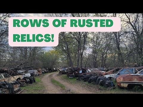 Exploring a HUGE ABANDONED Texas Salvage Yard! Hundreds of 1940s - 80s Cars & Trucks! Junkyard Tour