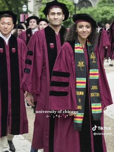 Exploring the University of Chicago Experience
