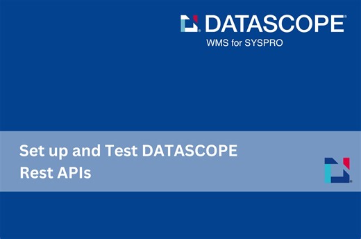 How to test the DATASCOPE WMS REST APIs