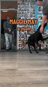 Every morning when our doors open, something magical happens: tails wag, ears perk, and paws dance. This isn't just a drop-off; this is your dog stepping into a place designed for joy, learning, and connection. At Dogtopia in Houston, dogs don't just burn off energy; they learn to wait calmly at doors, play respectfully with new friends, and respond to basic commands with confidence. These lessons make life at home smoother 🏡, walks more enjoyable 🐾, and your bond stronger 🧡. New customers ca
