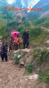 529K views · 12K reactions | BARAT ❤️❤️ #culture #gojriculture #merrage #reelsfbシ #viralreelsシ | Mushtaq Ahmed | Facebook