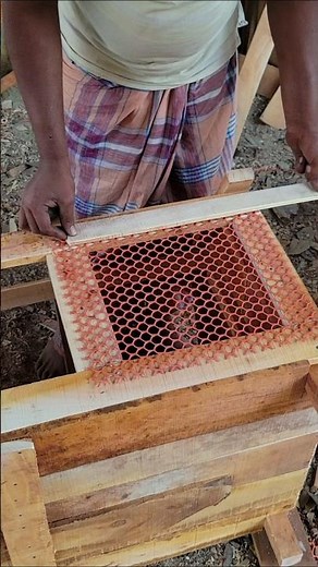 Amazing DIY Chicken Coop Build Backyard Chicken Farming USA#youtubeshorts #viralvideo