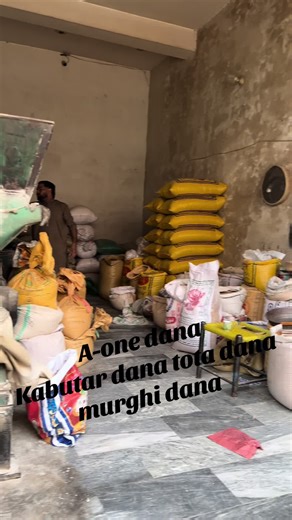 A-One Dana Point: Quality Pigeon and Bird Feed