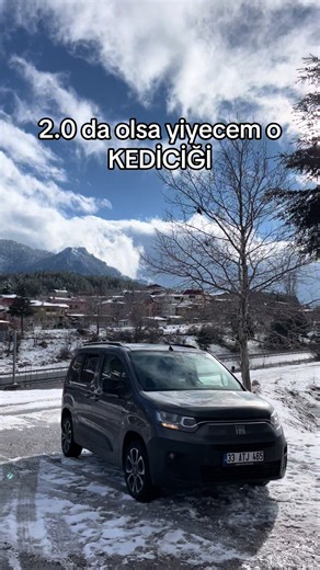 Discover Cady's Volkswagen Experience