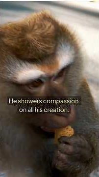 Psalm 145 - The Lord is Good to Everyone | David's Ultimate Praise Psalm #faith #bibleverse