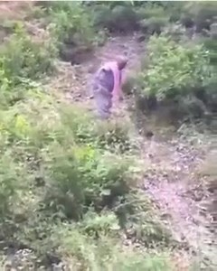 2.5K views · 46 reactions | Watch your step bro!!  | Prank.nation | Facebook