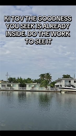 TheKiTovProject (@thekitovproject)’s videos with original sound - TheKiTovProject