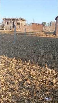 3 lakh में घर बनाने लायक प्लॉट | School के पास | Road, Bijli, Pani | Haji Chowk Ring Road Ranchi