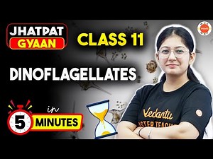 Dinoflagellates in 5 Min: Biological Classification | Class 11 Biology | Jhatpat Gyaan