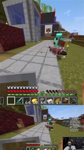 Wow!! Wolf armor for my dog 🐶 #minecraft #gaming #minecraftmemes
