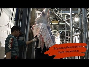 Kasaptan Aldığımız Etler Bizlere Nasıl Geliyor? Et Entegre Tesisi...(Beef Processing)