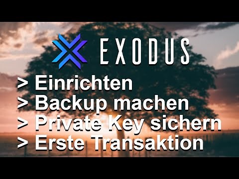EXODUS WALLET EINRICHTEN | Die gesamte Anleitung | Deutsch