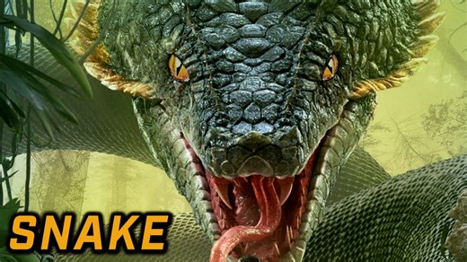 Snake (2018)