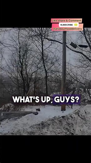 🦌 Deer Stops Me Mid-Delivery! Unexpected Wildlife Encounter on DoorDash Route 🍔🚗 (Must Watch!)