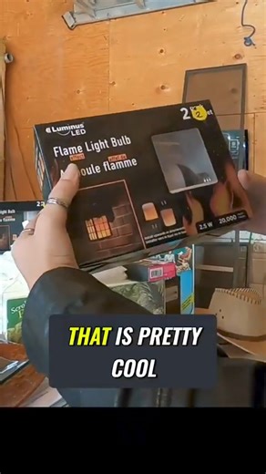 Amazing Led Flame Bulbs! 🤯 | Bargain Barons