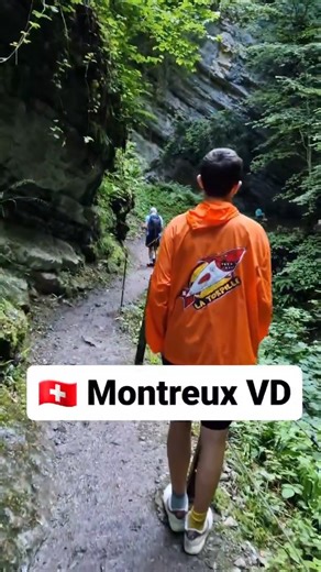 62 reactions · 4 comments | Les gorges du Chauderon à Montreux. La magnifique boucle : Les Planches (Montreux) ➔ Gorges du Chauderon ➔ Glion ➔ Escaliers du sentier du Télégraphe ➔ Les Planches Tous les détails sur la Torpille : https://torpille.ch/listing/gorges-du-chauderon/ #montreux #montreuxriviera #rivieravaudoise #gorgesduchauderon #gorgeduchauderon #planches #lesplanches | La Torpille | Facebook