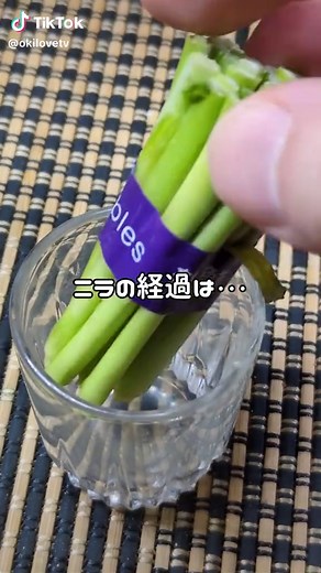家庭菜園でのニラの育て方と再利用法