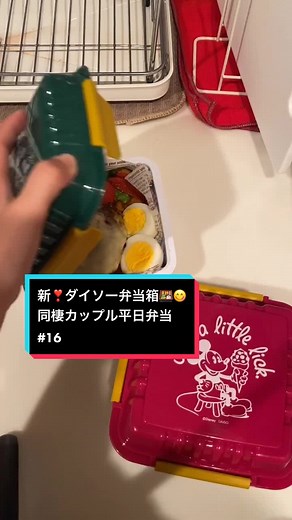 ダイソーで300円のお弁当箱購入レビュー