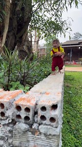 Cute Monkey Bon #monkey #cutemonkey #babymonkey #monkeybon | Monkey Bon