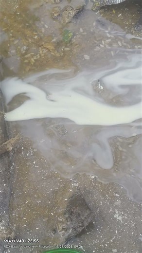 #newcartoen #videv #ff #shorts