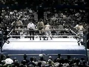 Demolition Smash & Crush vs the Bushwackers WWF PTW 1990.mpg