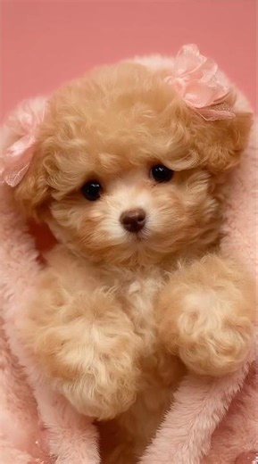 A Gentle Space Just for Us