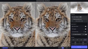Introducing Topaz Photo AI: Your autopilot for maximizing image quality