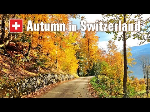 🍂🍁 Autumn Colors in Switzerland 🇨🇭 Fall Foliage | Scenic Drive with Relaxing Music [4K]