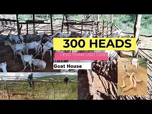 Goat house for less than Kshs 100,000 - Goat farming in Kenya