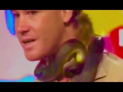 Steven Irwin on Australian tv nearly gets entangled by python 