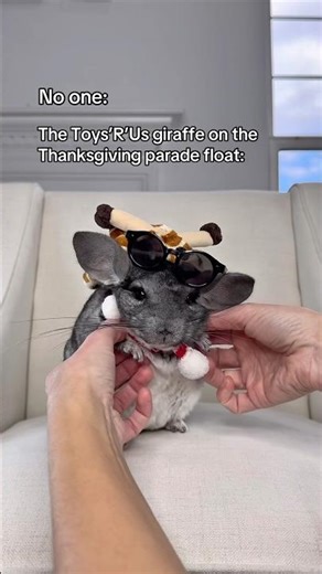 The most random float in the Macy’s parade 🦒 #funnyanimals #parade #shortsvideo