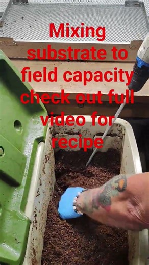 How I mix my coco coir vermiculite substrate recipe in the videos #mycology #sendit #agar