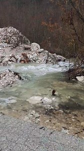 244K views · 767 reactions | Put Jablanica-Doljani | CRNA Hronika BIH | Facebook