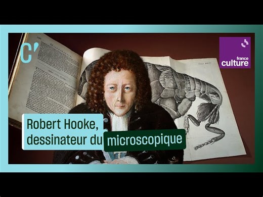 Podcast | Robert Hooke, premier dessinateur du microscopique