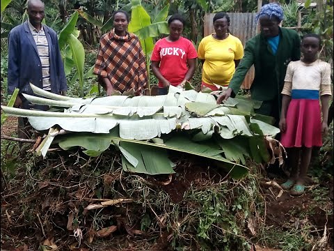 Making Compost Manure