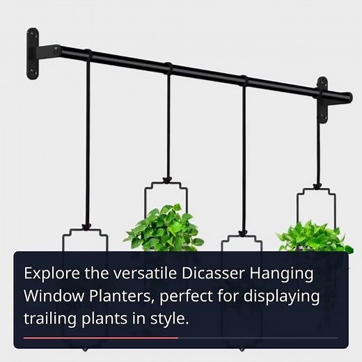 Elevate Your Indoor Garden: Top 9 Plant Stands